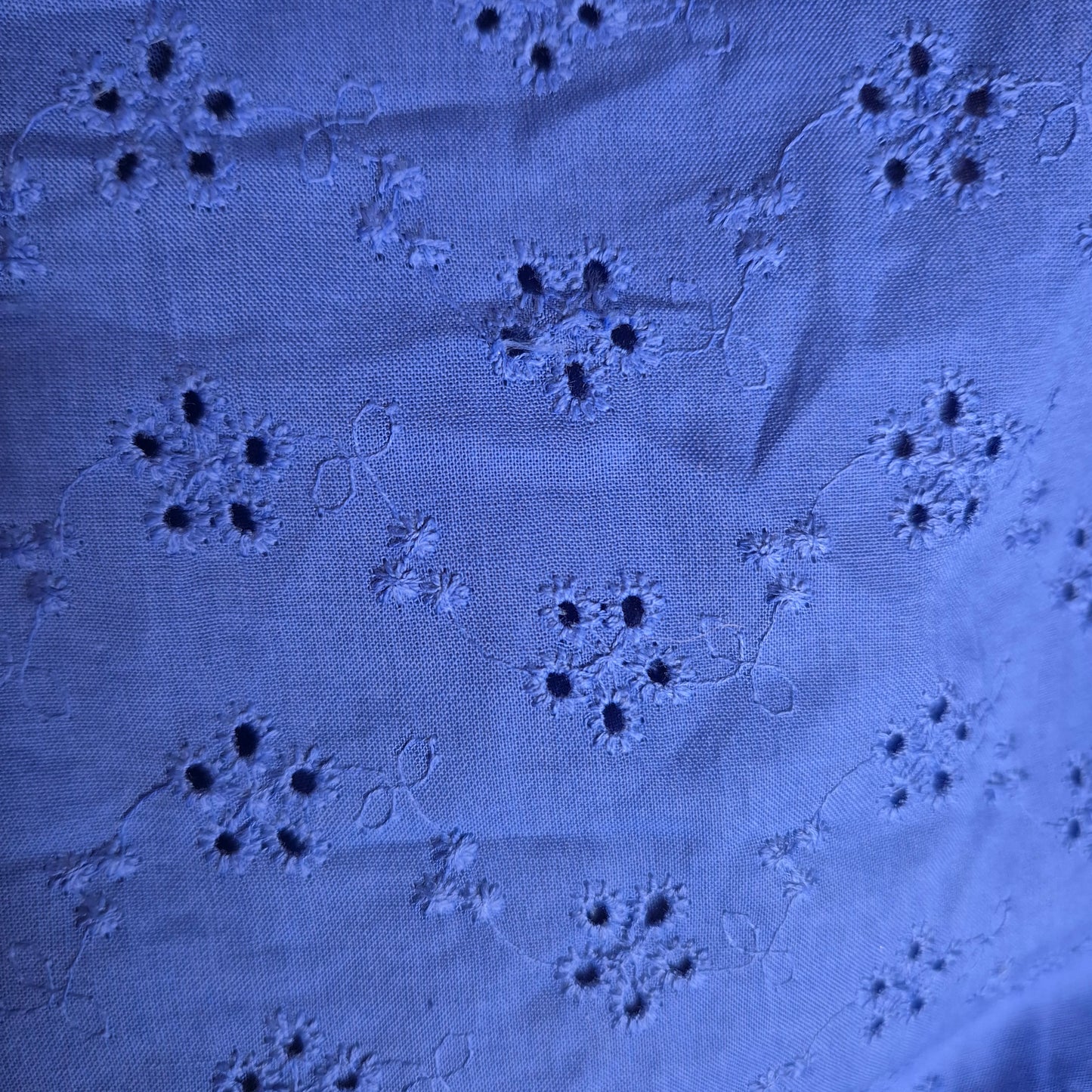 BIANCAVILLA BLEU